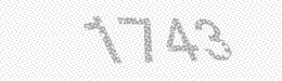Visual security code — type the characters shown in the image