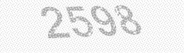 Visual security code — type the characters shown in the image